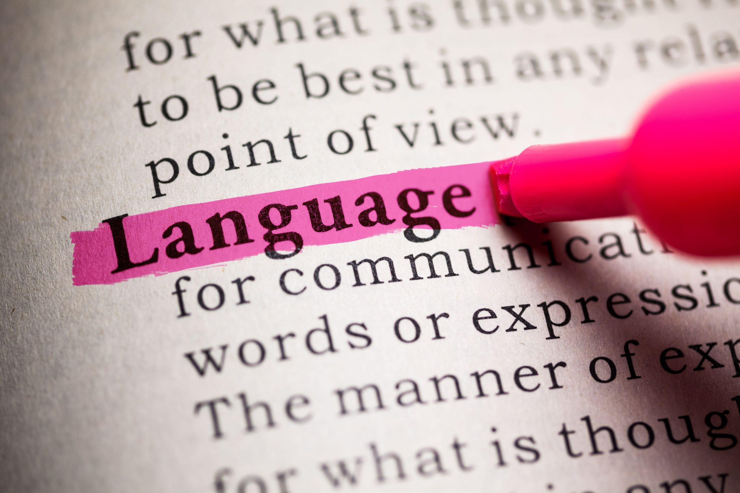essay on importance of national language